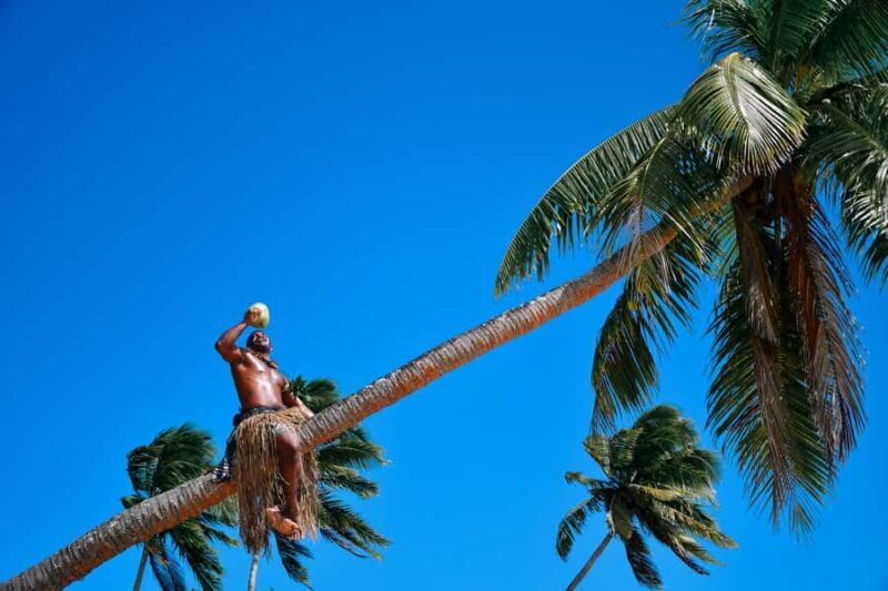 Fiji: Village & Mud-Crab Catching Tour - Final Thoughts