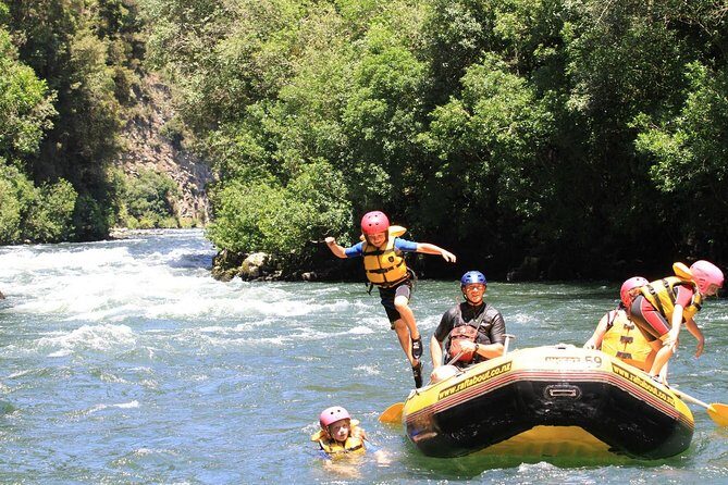 Fine Wine Tour in Napier, New Zealand - Who Should Consider This Tour?