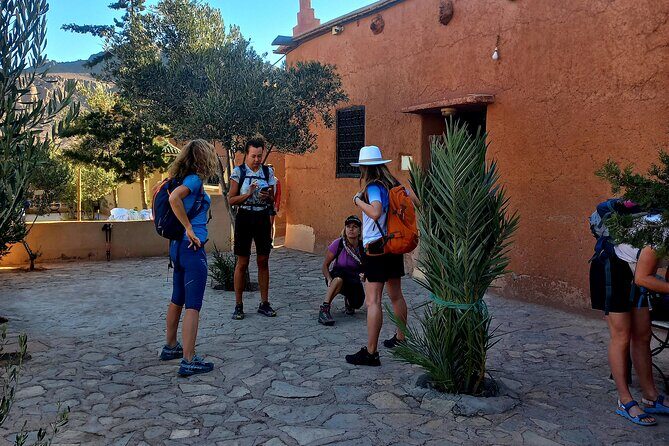 Fint Oasis Private Day Hike - An In-Depth Look at the Fint Oasis Hike