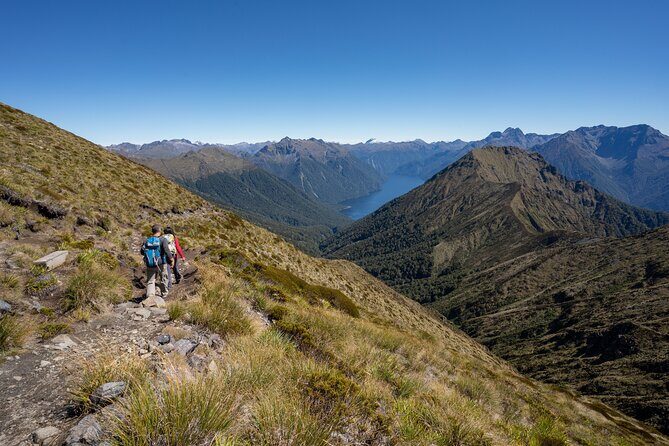 Fiordland Heli-hike from Te Anau - An Introduction to the Fiordland Heli-hike Experience