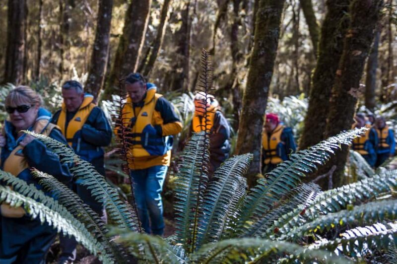 Fiordland: Jet Boat & Nature Walk Experience from Te Anau - Who Should Consider This Tour