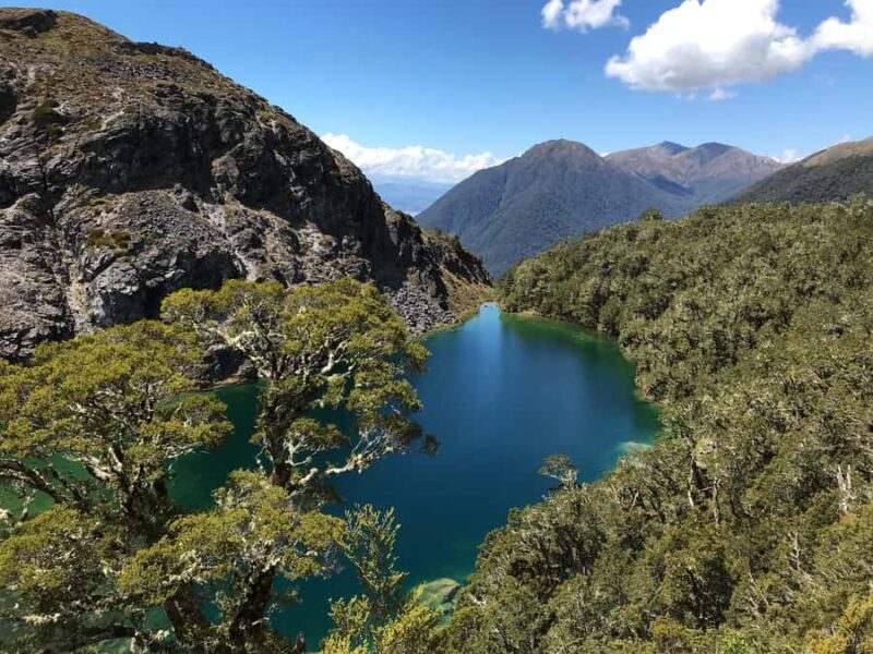 Fiordland National Park Scenic Flight - An Introduction to the Scenic Flight Experience