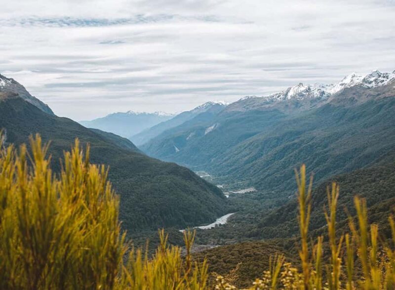 Fiordland: Routeburn Track and Key Summit Guided Day Walk - An Introduction to the Experience