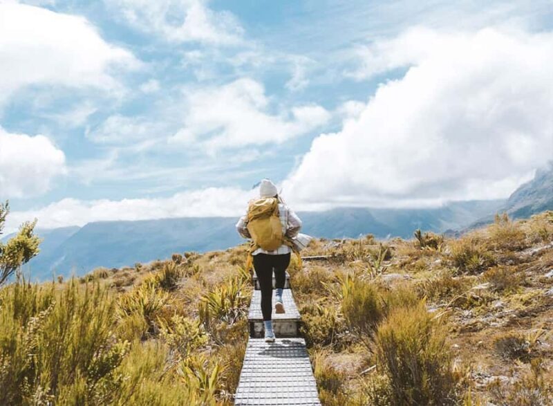 Fiordland: Routeburn Track and Key Summit Guided Day Walk - The Details That Matter