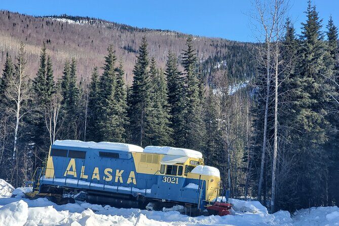Fire & Ice: Chena Hot Springs, Ice Museum + Aurora Adventure - Why Choose This Tour?
