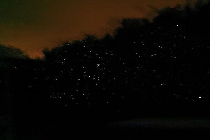 Fireflies & Silver leaf monkey Gazing tour - Frequently Asked Questions