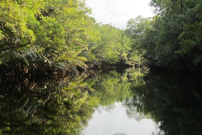 Fireflies Tour in Cherating - Key Points