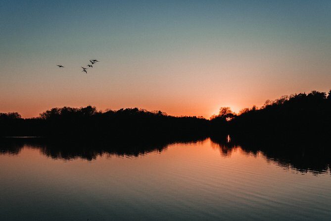 Fireflies Tour in Cherating - Authentic Experiences Based on Real Reviews