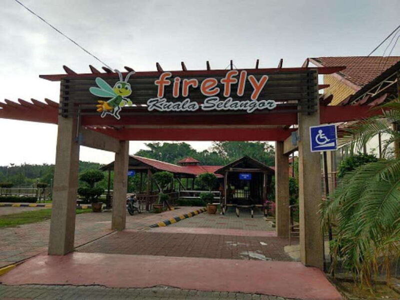 Firefly, Eagle Feeding, and Blue Tears Kuala Selangor Tour - Discover the Natural Wonders of Kuala Selangor on a Night Tour