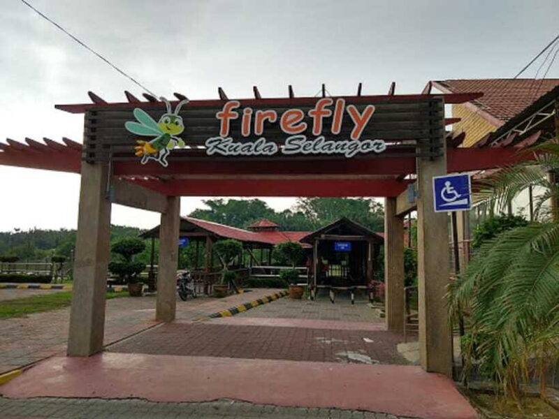 Firefly, Eagle Feeding, and Blue Tears Kuala Selangor Tour - Who Will Love This Tour?