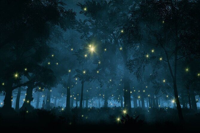 Firefly Sanctuary Tour in Puebla - Returning to Puebla