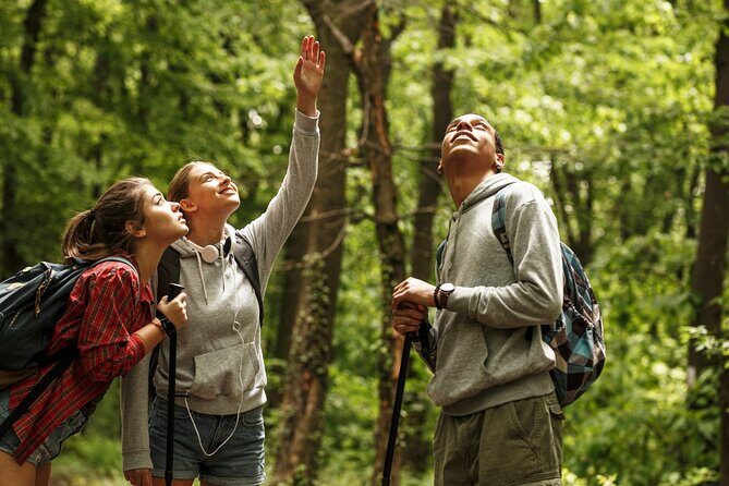 Firefly Sanctuary Tour in Puebla - Authenticity and Authentic Experience