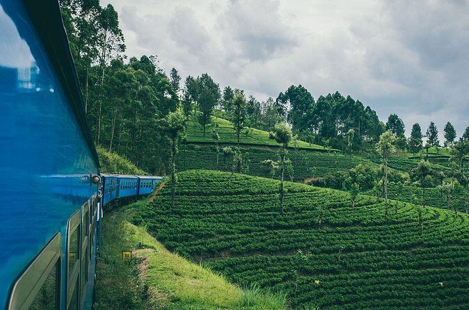 First Class Scenic Train Ticket From Kandy To Ella - The Sum Up