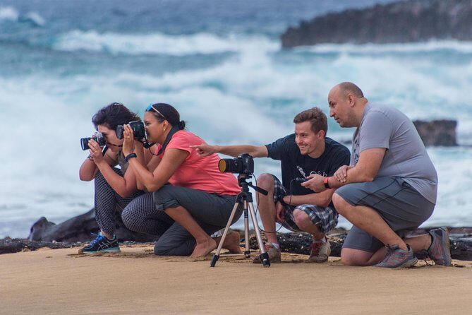 First Day Must: Oahu Sunrise & Circle Island Adventure - Who Will Love This Tour?