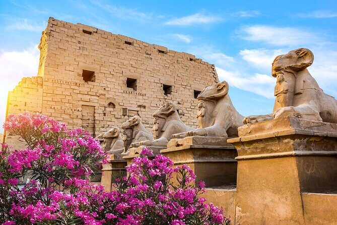 First impression of Luxor-Explore secrets of Luxor by horse carriage - Final Words