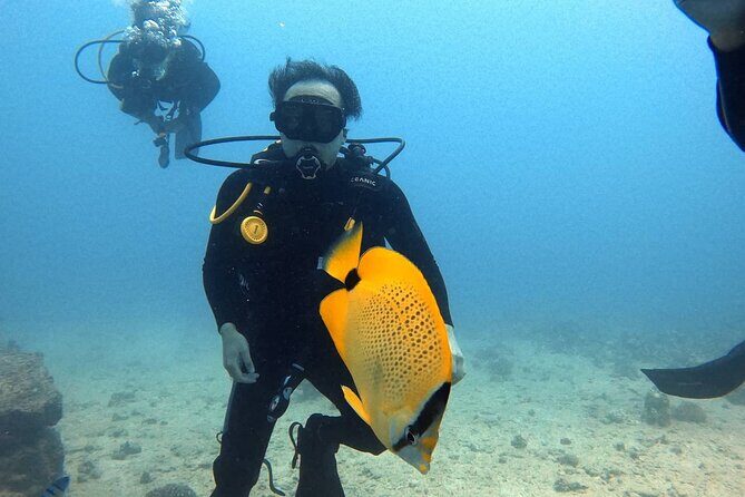 First Time Introductory Scuba Dive - Introduction to the Experience