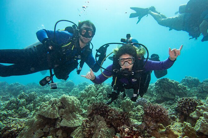 First Time Introductory Scuba Dive - The Sum Up