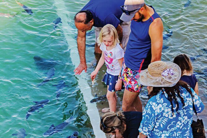 Fish Feeding Activity in Darwin - What Is the Fish Feeding Experience All About?