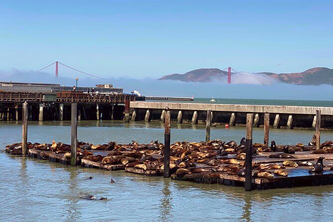 Fisherman's Wharf Guided Walk & Golden Gate Bay Cruise - An In-Depth Look at the Fisherman’s Wharf Guided Walk & Optional Bay Cruise