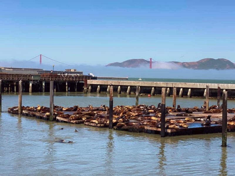 Fishermans Wharf Highlights Tour + Golden Gate Bay Voyage - A Deep Dive into the Fisherman’s Wharf Highlights Tour