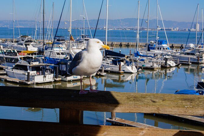Fishermans Wharf & Pier 39 Food Tour - Includes Full Meal, 3 hrs - A Closer Look at the Experience