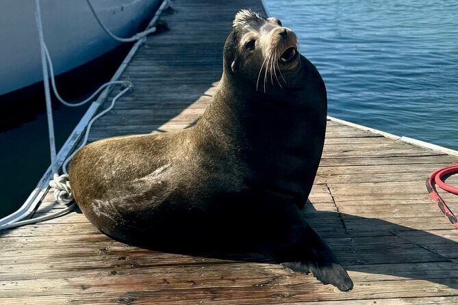 Fishermans Wharf & Pier 39 Food Tour - Includes Full Meal, 3 hrs - Authentic Experiences Loved by Others
