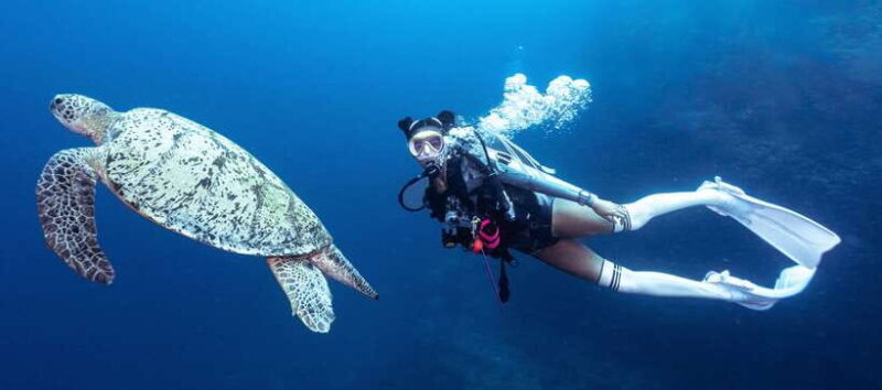 Fisheye Divers: Discover Scuba Diving - An Honest Look at the Fisheye Divers Discover Scuba Tour