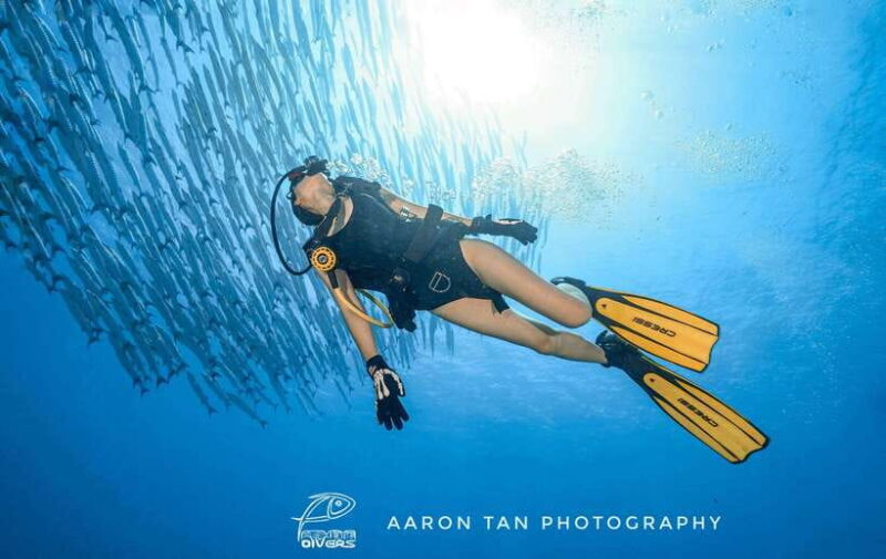 Fisheye Divers: Discover Scuba Diving - FAQ