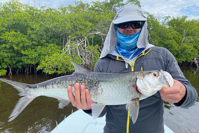 Fishing Adventure in Clearwater - The Value & Cost Analysis