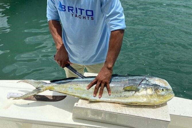 Fishing And Eating Straight From The Sea ( SAONA ISLAND AND PALMILLA) - Dining and Refreshments
