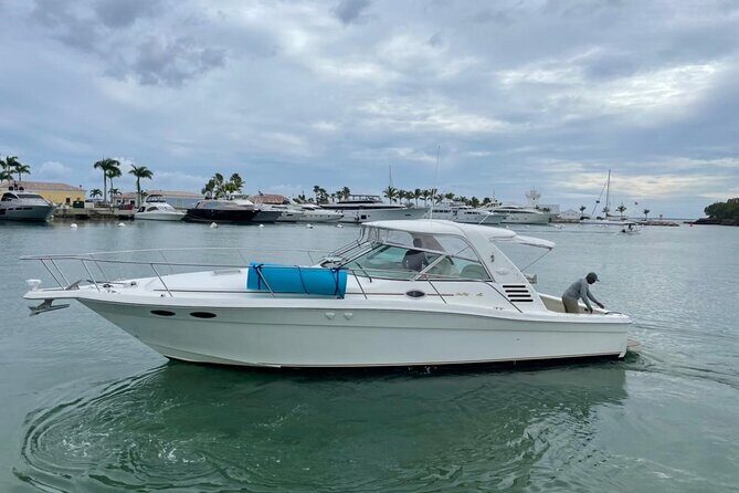 Fishing And Eating Straight From The Sea ( SAONA ISLAND AND PALMILLA) - Navigating the Logistics