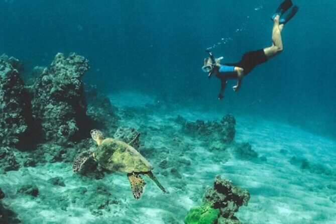 Fishing Charter and Tours - Who Should Book This Tour?