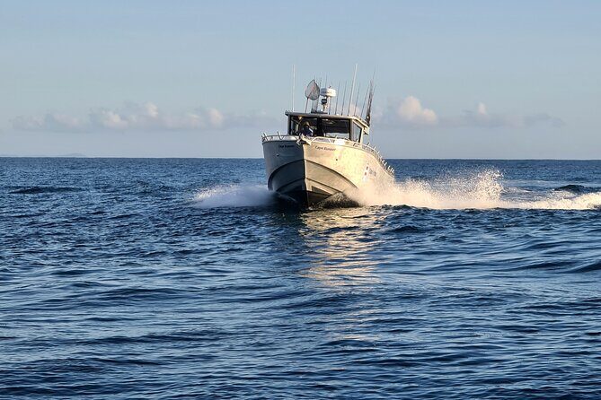 Fishing Charter in Pelican Waters - The Experience at a Glance