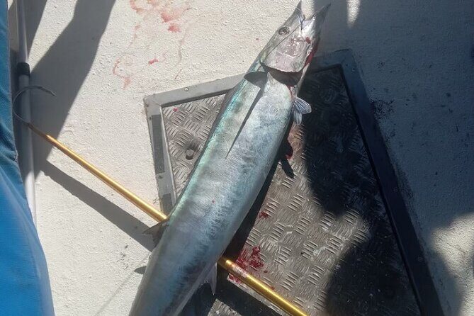Fishing in Waikiki - The Realities: Pros and Cons Based on Reviews
