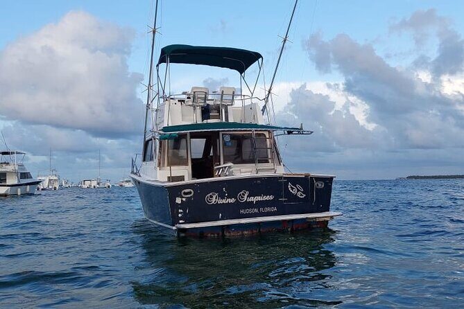 FISHING PRO CHARTERS - Boat Excursion - Divina - The Sum Up