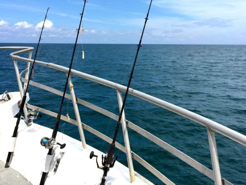 Fishing Trip 4 hours Tour - Key Points