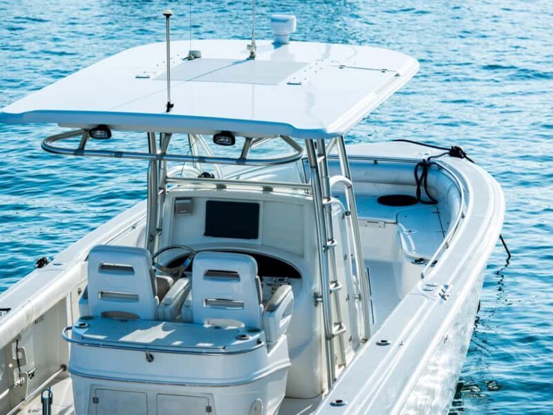 Fishing Trip 4 hours Tour - The Experience in Detail