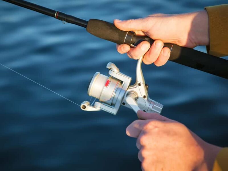 Fishing Trip 4 hours Tour - Authentic Moments and Traveler Insights