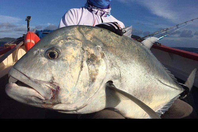 Fishing Trips. Popping, jigging, big game, live bait - Introduction
