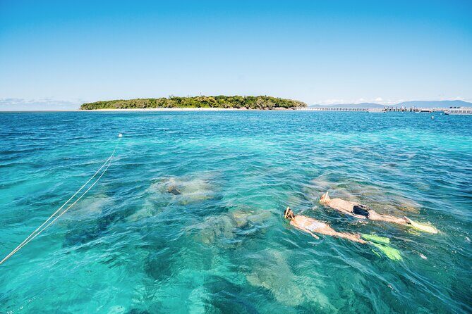 Fitzroy Island Transfers and Tours from Cairns - Optional Activities: Snorkeling, Glass-Bottom Boat, and More