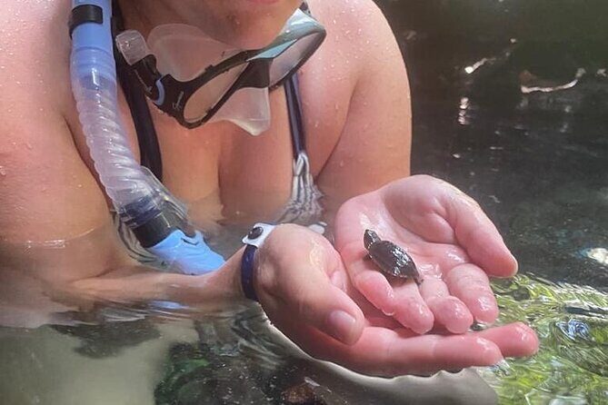 Five Cenotes Jungle Experience in the Riviera Maya - Discovering the Hidden Gems of the Riviera Maya