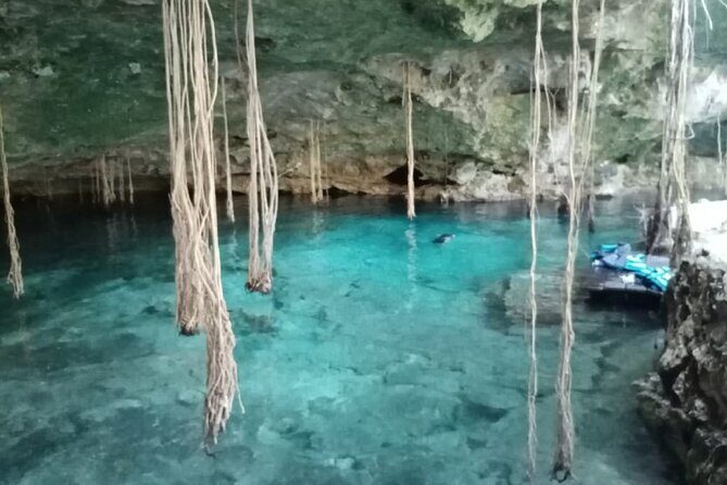 Five Cenotes Jungle Experience in the Riviera Maya - What the Tour Includes and What to Consider