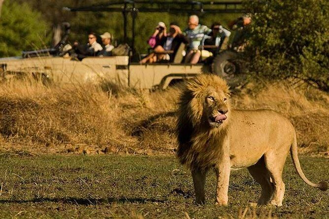 Five-Day Hwange NP, Chobe NP and Victoria Falls Combo - What Travelers Love Most