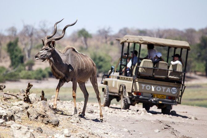 Five-Day Hwange NP, Chobe NP and Victoria Falls Combo - The Sum Up