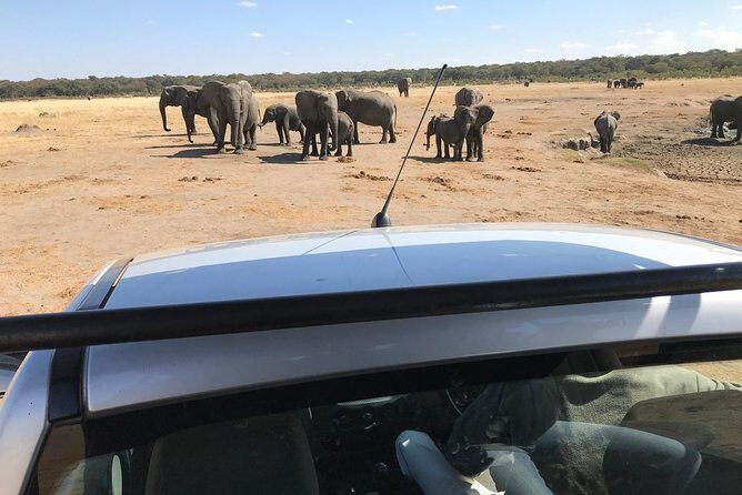 Five-Day Hwange NP, Chobe NP and Victoria Falls Combo - FAQs