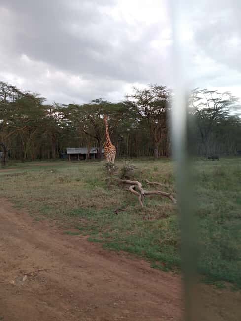 Five Days Mount Meru Climbing - Key Points