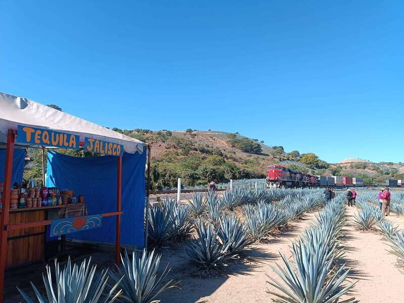 Five-star factory: Meet Orendain tequila. - A Close Look at the Tequila Experience