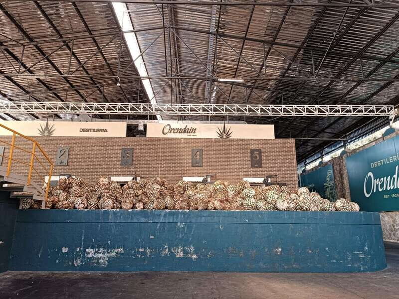 Five-star factory: Meet Orendain tequila. - The Practicalities: What to Expect