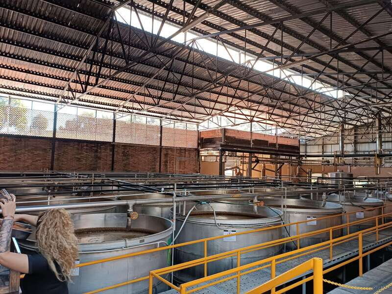 Five-star factory: Meet Orendain tequila. - Final Thoughts