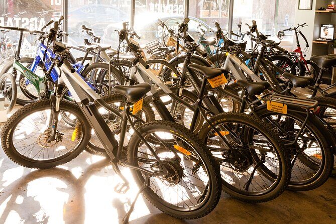 Flagstaff Electric Bike Rental - A Practical and Enjoyable Way to Explore Flagstaff’s Outdoors
